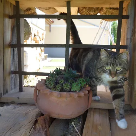 Himetsbergerhof Ξενοδοχείο με διαμερίσματα Aurolzmunster