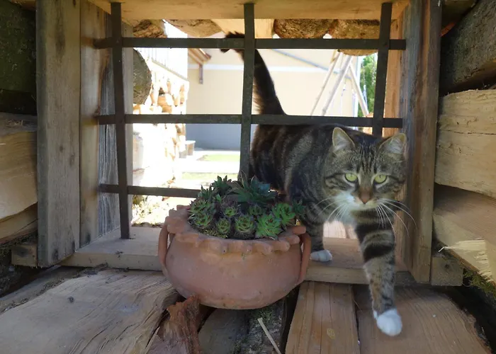 Himetsbergerhof Apart Otel Aurolzmunster